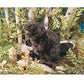 Folkmanis Beaver Hand Puppet, Plush, 8", Multi-colored, Model 2245