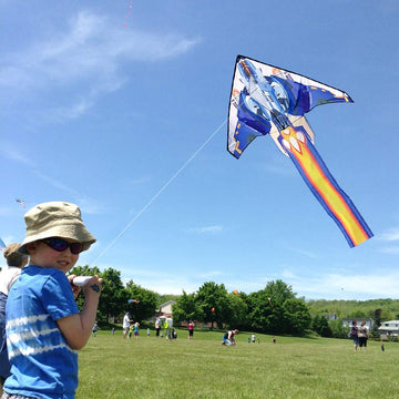 Airplane Kite For Kids & Adults Easy To Fly