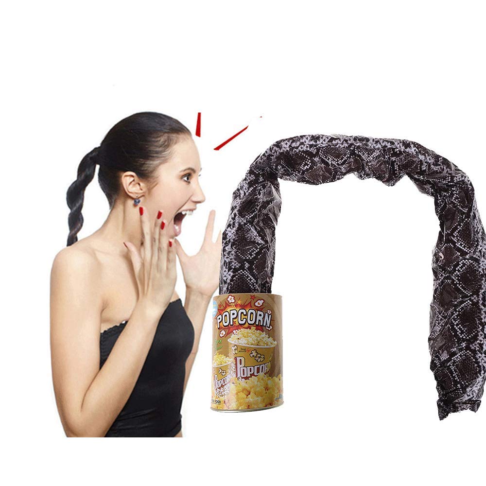 TJYONGHI The Potato Chip Snake Can Jump Spring Snake Toy Gift April Fool Day Halloween Party Decoration Jokes in A Can Gag Gift Prank Potato Chip Style Popcorn 2 Pieces