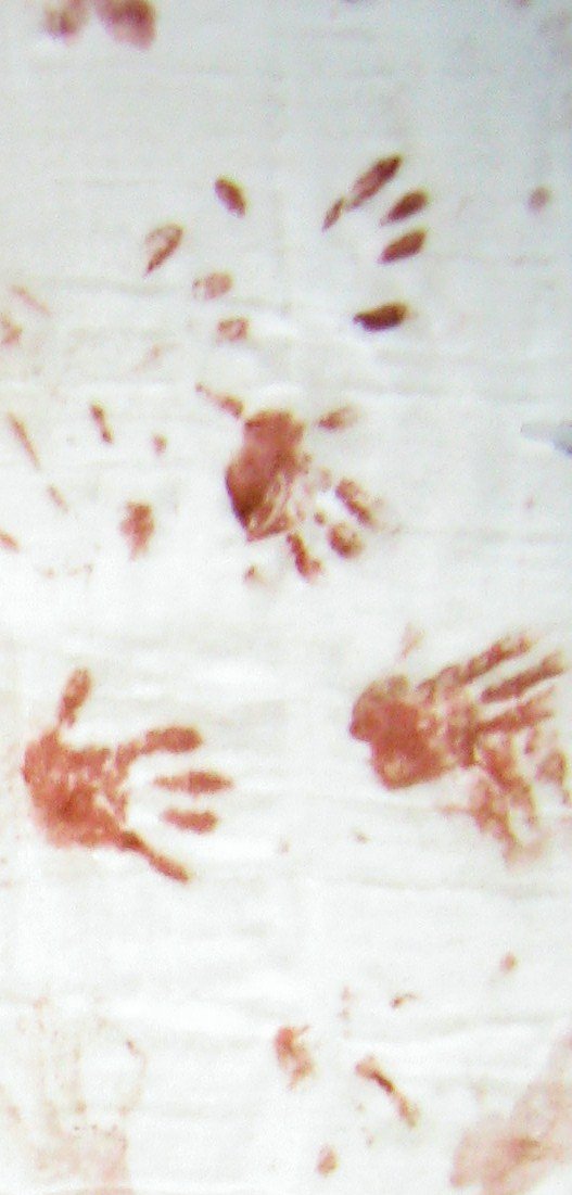 Halloween Bloody Cloth/Hand Print/Gauze/Wrap/Bandage  Prank  30 x 72 by Greenbrier International