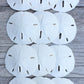 Nautical Crush Trading Sand Dollar Shells Set of 12 | Real White Sand Dollars 2.5" to 3" | Ideal for Weddings and Nautical Decor
