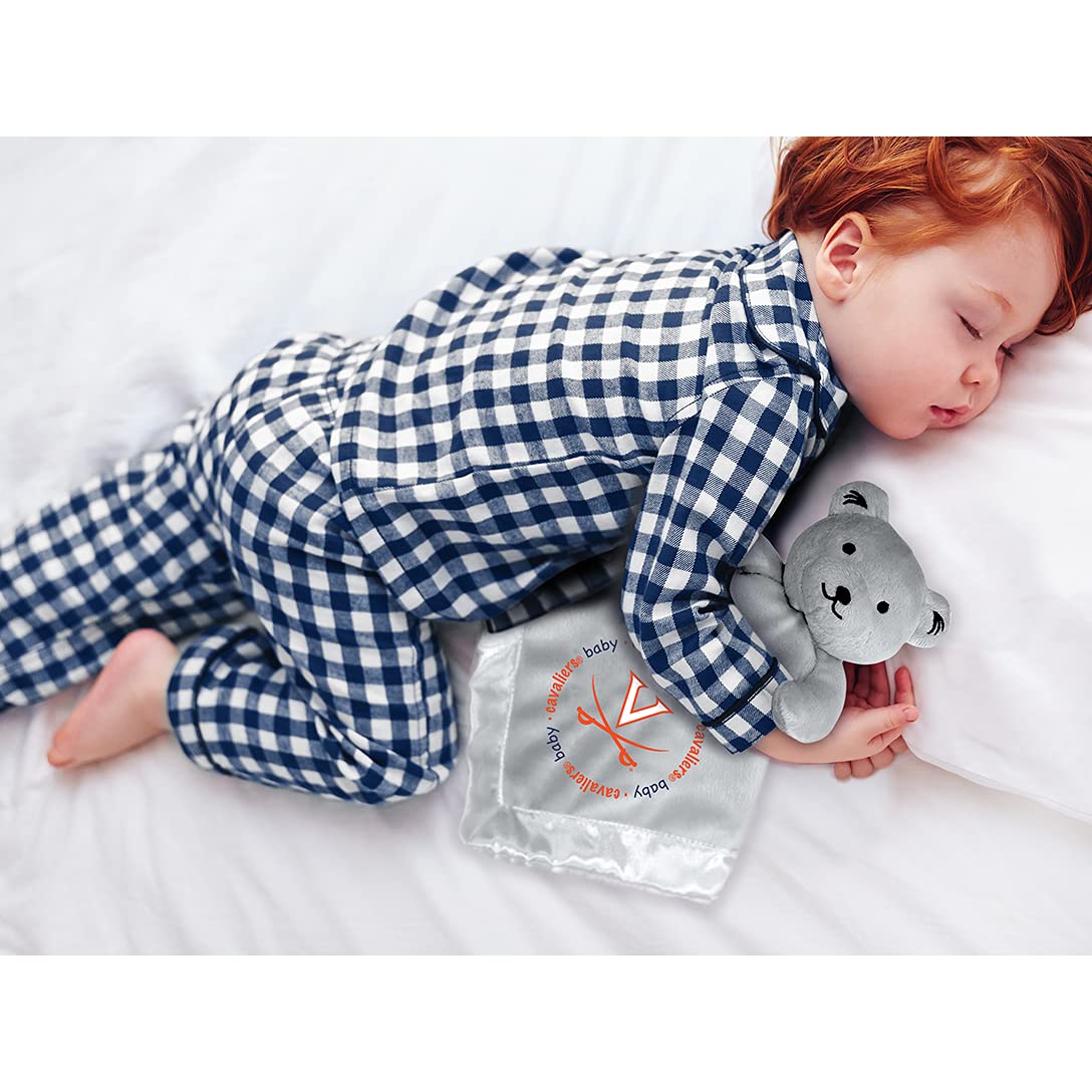 Virginia Security Bear Gray
