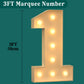 3Ft Marquee Numbers, Light Up Numbers 1 For 1St 16Th 21St Birthday Decorations, Big Numbers For Party Decorations, Large Light U