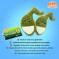 Giantmicrobes Gallbladder Plush,Gallbladder Stuffed Animal, Gallbladder Surgery Gifts, Gallbladder Removal Gift, Gastroenterology Gifts, Get Well Gift
