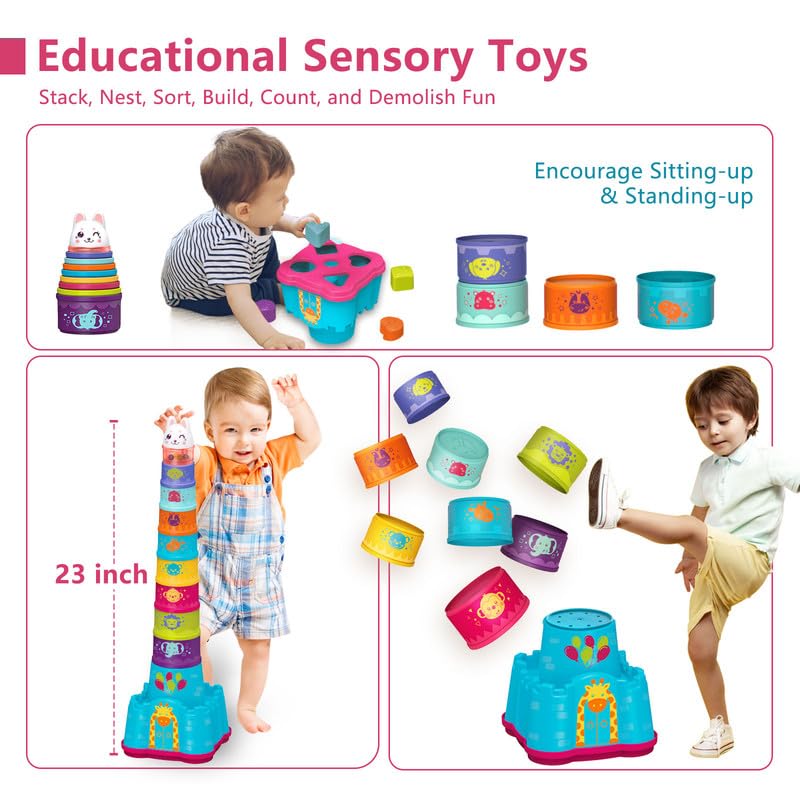 Ltkfffdp Baby Stacking Toys For Toddler 1-3, Nesting Cup Shape Sorter For Infant 6 To 12-18 Month, Learning Stackable Block, Bir