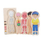 Ilsmysutra Wooden Body Puzzle For Kids Montessori Puzzles For Baby Girls Boys Children Boy|Toys For Baby|Developmental Baby Toys