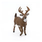 Papo Wild Animal Kingdom White-Tailed Deer Figurine, Hand-Painted Plastic, Multicolor, Model 53021, Collectible for Ages 3+