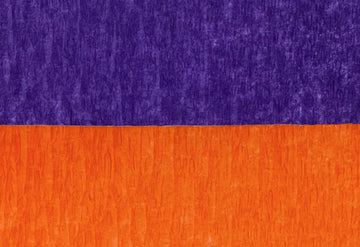 Purple and Orange Crepe Paper Streamers (2 Rolls Each), Made in USA