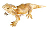 Adore Plush Company 21" Pogo The Bearded Dragon Stuffed Animal - Multi-Color Plush Toy