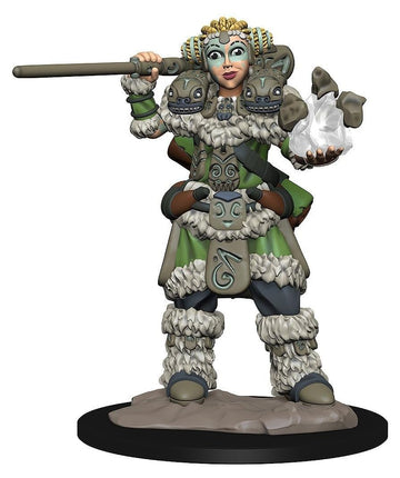 Wizkids Wzk73314 Girl Druid & Stone Creature Miniatures Pre-Painted Minis Wardlings