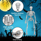 DULEFUN 6pcs Small Skeleton Figurines 6 Inch Mini Plastic Skeletons for Craft Halloween Hanging D  cor Poseable Skeleton Toys Pa