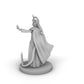 Tiefling Female Druid Tabletop Dnd Gaming Miniature