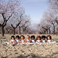 Miniland Doll 15'' Hispanic Boy (Box) - Made In Spain, Anatomically Correct, Quality, Inclusion