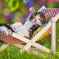 Ravensburger 07801, Sleepy Kitten 2 X 24 Piece Puzzles In A Box, 2 X 24 Piece Puzzles For Kids, Every Piece Is Unique, Pieces Fit Together Perfectly, Multi