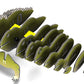 Eugy Tuatara 3D Puzzle, 24 Piece Eco-Friendly Educational Toy Puzzles For Boys, Girls & Kids Ages 6+