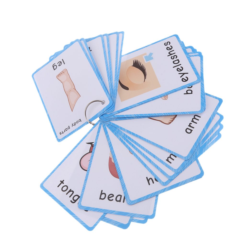 Styleheaven Preschool Educational Flash Cards Body Parts  36 Pieces