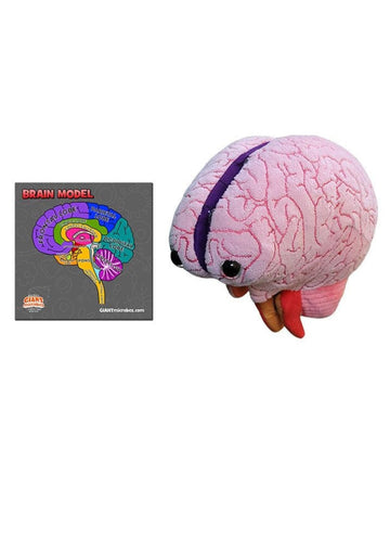 GIANTmicrobes Brain Model - Plush 3D Human Brain Anatomy Toy in Pink for Kids & Neuroscience Education