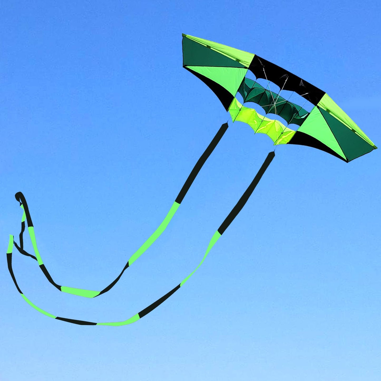 Beach Kites For Adults Large With Long Tail, 98 Inches Super Easy Flyer 3D Rainbow Box Kites, Come With 49 Feet Multi Colors Tails X 2, 300 Ft Kite String & Handle (Black Green)