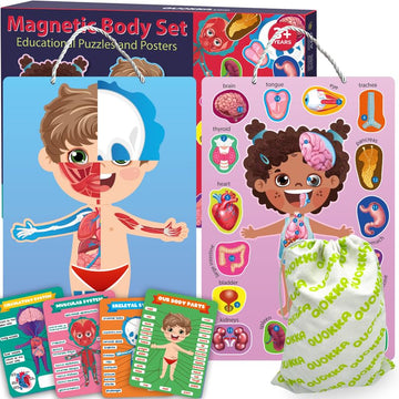 Quokka Magnetic Puzzles For Kids - Montessori Puzzles For Toddlers 3-5 - Preschool Game Learning Human Body Parts Anatomy Skelet