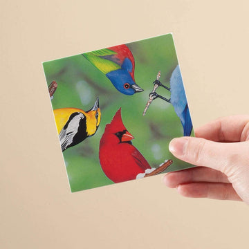 B.Dazzle Scramble Squares North American Birds Puzzle - One Size, Green, Laminated Cardboard, Model 10016