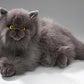 Cat, Persian Gray, 12 Inches, 30Cm, Plush Toy, Soft Toy, Stuffed Animal 3433