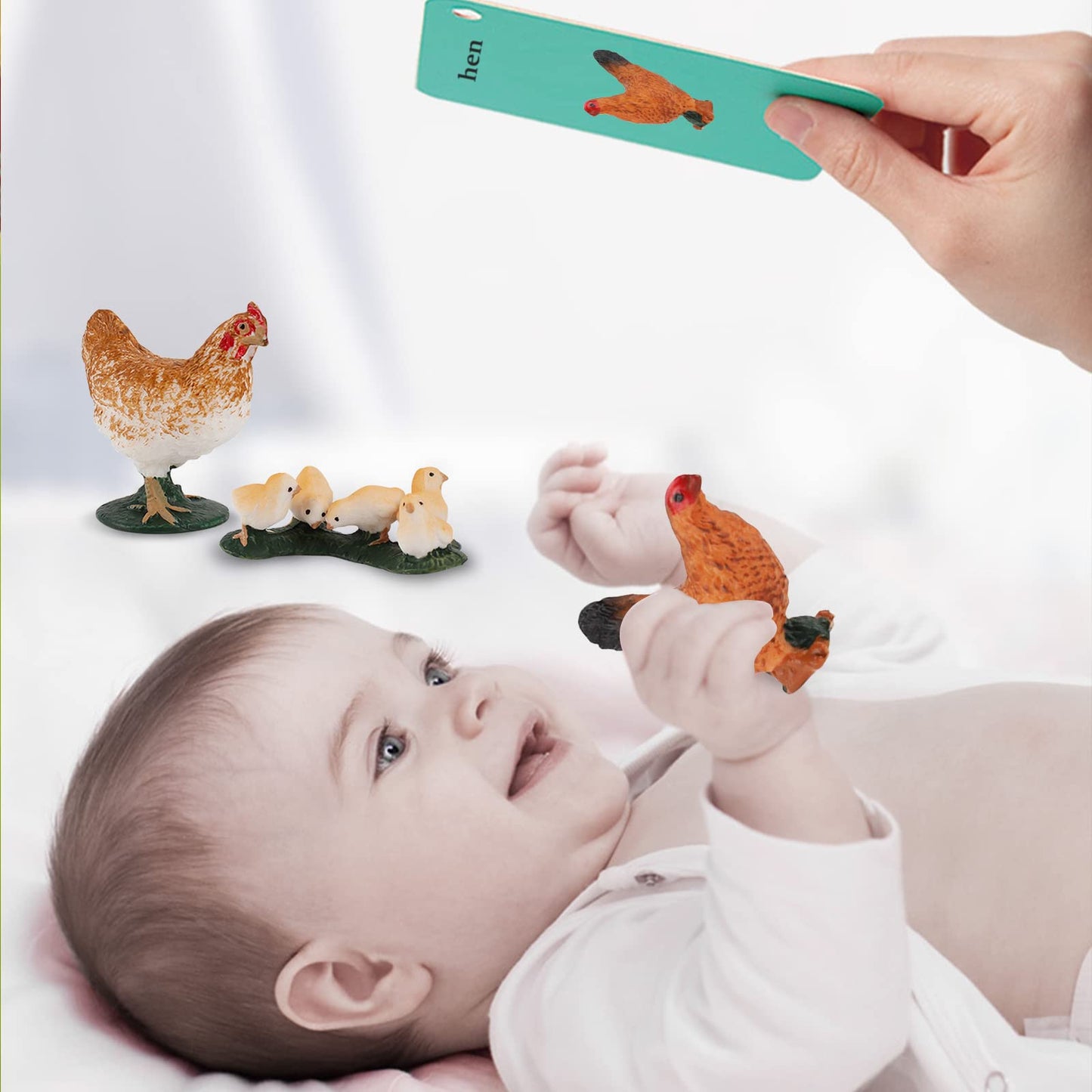 Life Cycle of Hen Figurines Toys Realistic Farm Animals Life Cycle Animals Set Preschool Animals Figures Eduactional Project Dio
