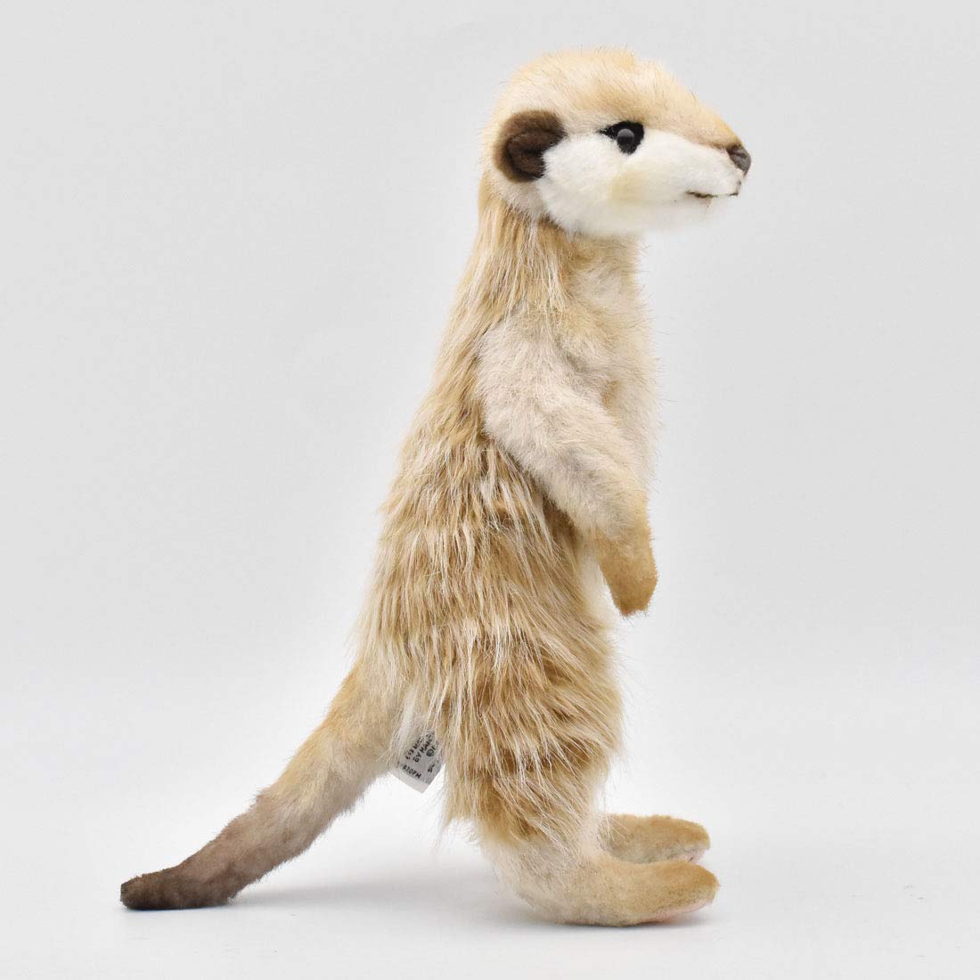 Hansa Meerkat #5326
