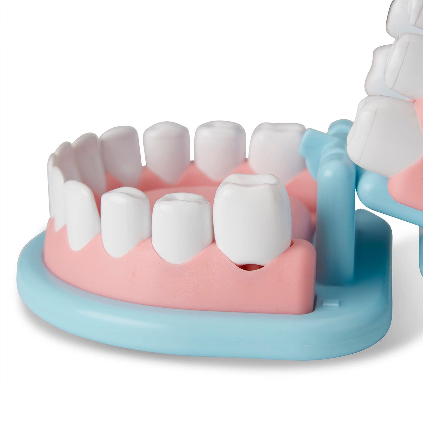 Melissa & Doug Super Smile Dentist Kit With Pretend Play Set Of Teeth And Dental Accessories (25 Toy Pieces) - Pretend Dentist P
