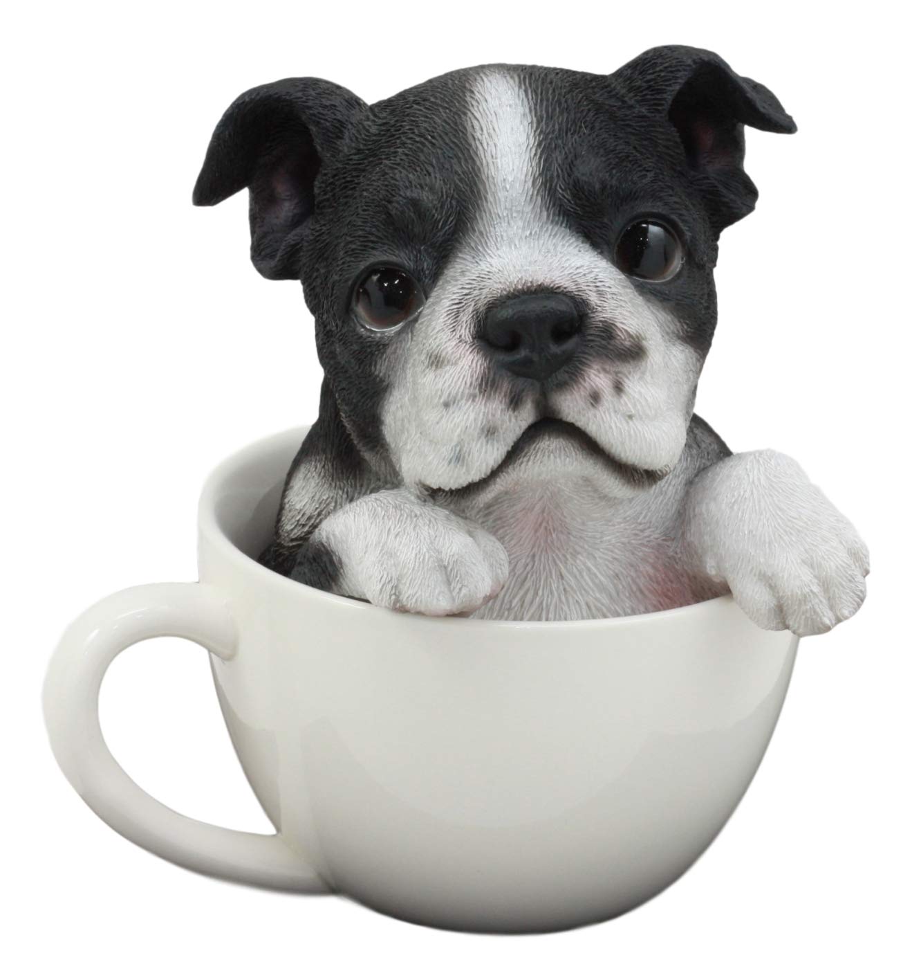 Ebros Gift Realistic Boston Terrier Teacup Pup In White Tea Cup Statue 5.75'' Tall Pet Pal Tuxedo Gentleman Puppy Dog Breed Coll