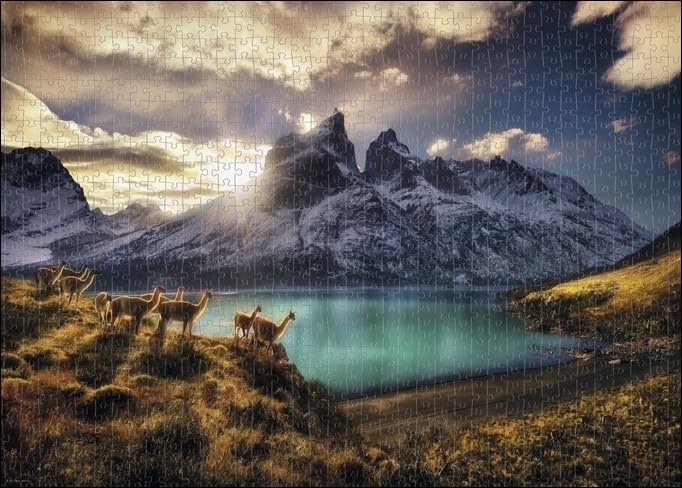 Heye 29815 Puzzles-1000 Pc-Guanacos,White