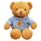 Galatee Cute Teddy Bear Plush Stuffed Animal, Teddy Bear With Coffee Hoodie, Gifts For Children(19.6' Blue)