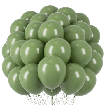 Voircoloria Sage Green Balloons, 66Pack 12Inch Olive Green Latex Party Balloons For Baby Shower, Graduation, Wedding, Birthday,