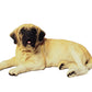 Conversation Concepts Mastiff Figurine