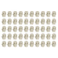 Pretyzoom 150Pcs Mini Plastic Skull Heads Miniature Skulls Halloween Decorations Realistic Skeleton Skulls For Halloween Trick Toy Accessories (0.8'X0.5')