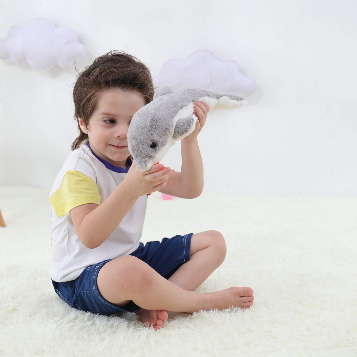 Apricot Lamb Ocean Stuffed Animals Toys Plush Gray Dolphin Sea Animal Soft Cuddly Perfect for Girls Boys (Gray Dolphin, 12 Inche