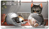 Star City Games Creature Collection Playmat - Kitten (Scgkittenmat) , Gray