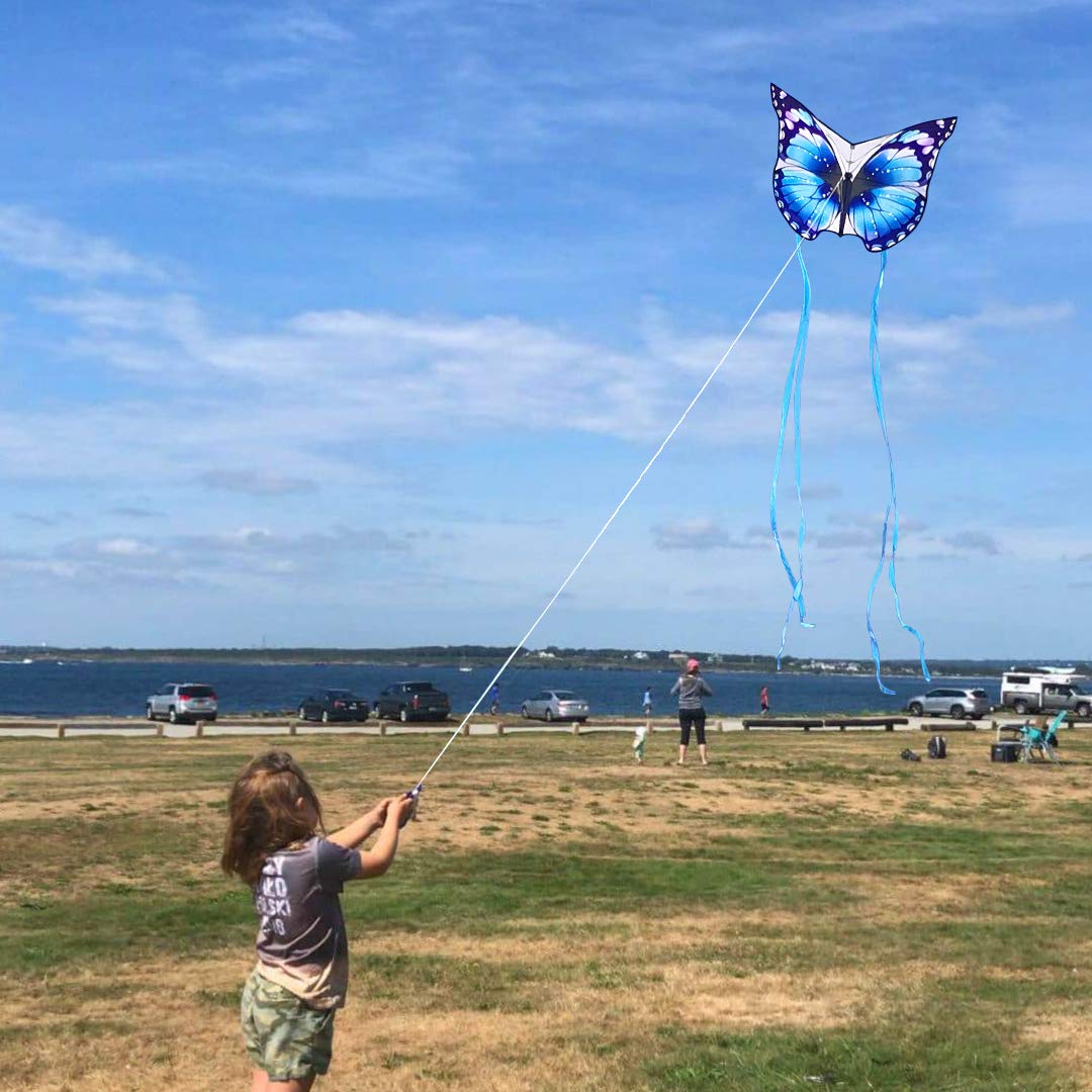 Butterfly Kite (Blue)