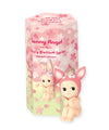 Sonny Angel Cherry Blossom Hanami Series (1) Assorted Sealed Blind Box Original Mini Figure, Limited Edition (2025)