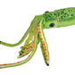 Wild Republic Print Squid Green Plush, Stuffed Animal, Plush Toy, Gifts For Kids, 22 Inches