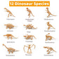 Haptime 12 Pcs Dinosaur Fossil Skeletons Toy Figures - Mini Dinosaur Figurines For Toddler Kids - Dino Bones Cake Topper Party Favors, Ideal Gift For 3 4 5 6 Boys Girls
