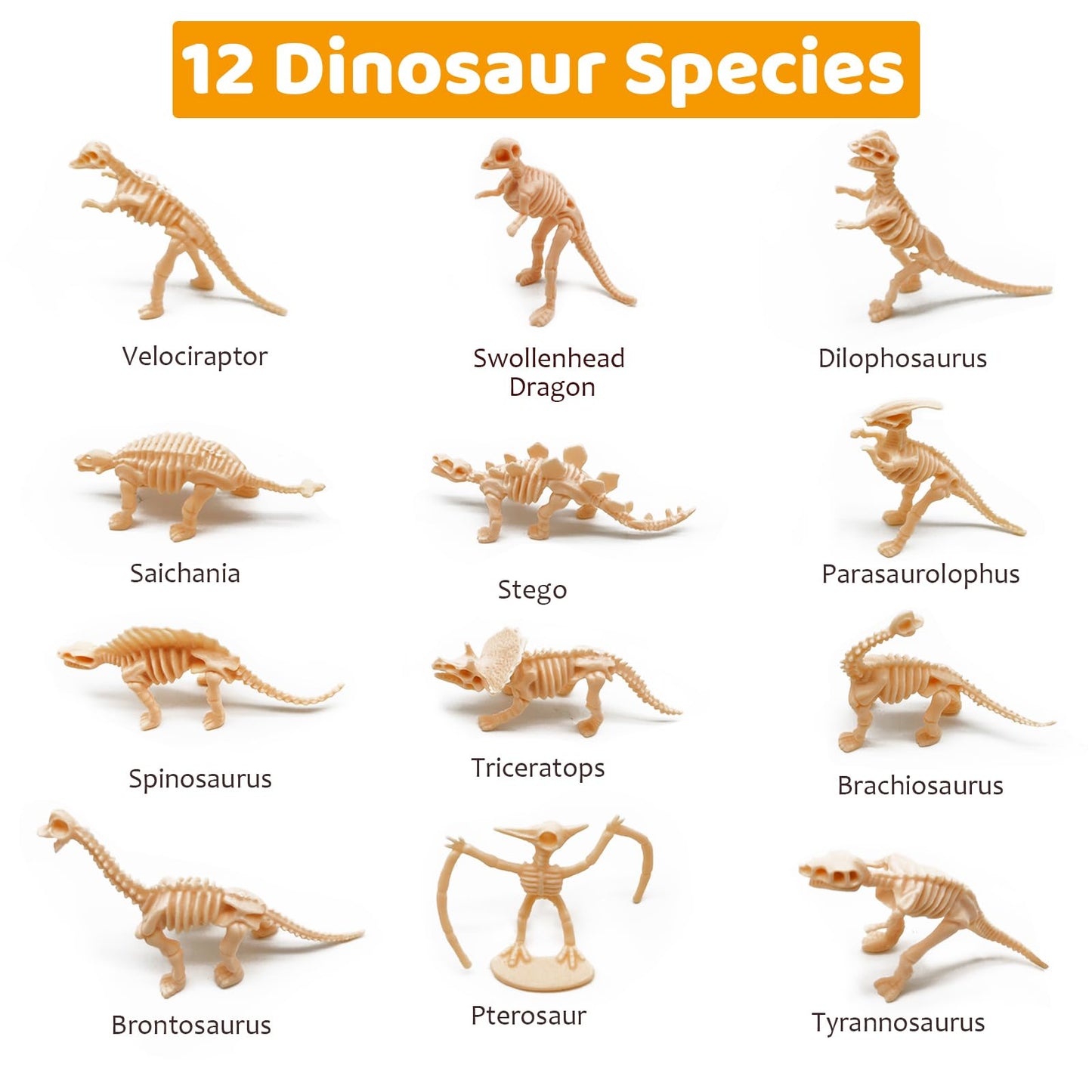 Haptime 12 Pcs Dinosaur Fossil Skeletons Toy Figures - Mini Dinosaur Figurines For Toddler Kids - Dino Bones Cake Topper Party Favors, Ideal Gift For 3 4 5 6 Boys Girls