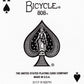 Bicycle Rider Back Silver Deck