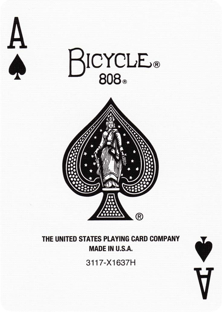 Bicycle Rider Back Silver Deck