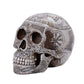 Pacific Giftware Pt Viking Skull Resin Figurine Tabletop Statue