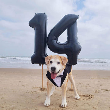 Paticool 40 Inch Black Number Balloon 4, Large Number Foil Balloons Mylar For Girl Boy Birthday Party Celebration Decorations Su