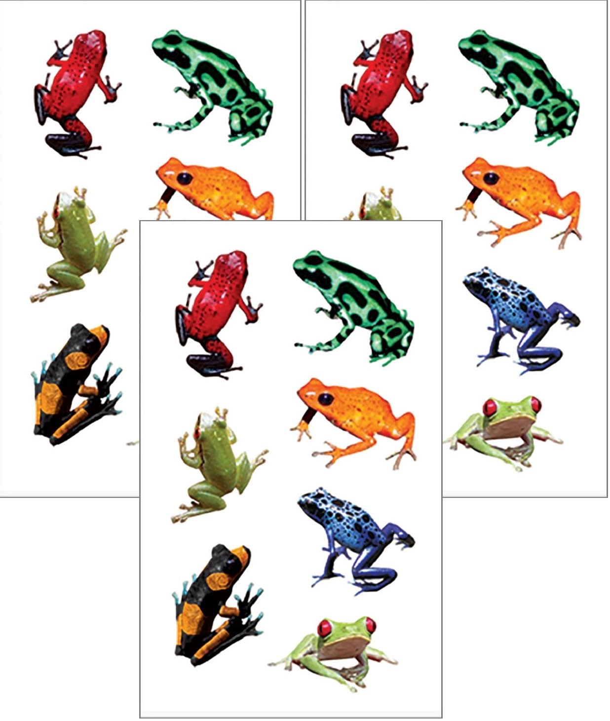 Playhouse Pack of Three Perforated Sticker Half-Sheets for Crafts, Trading & Collecting - Rainforest Frogs 1 Pack