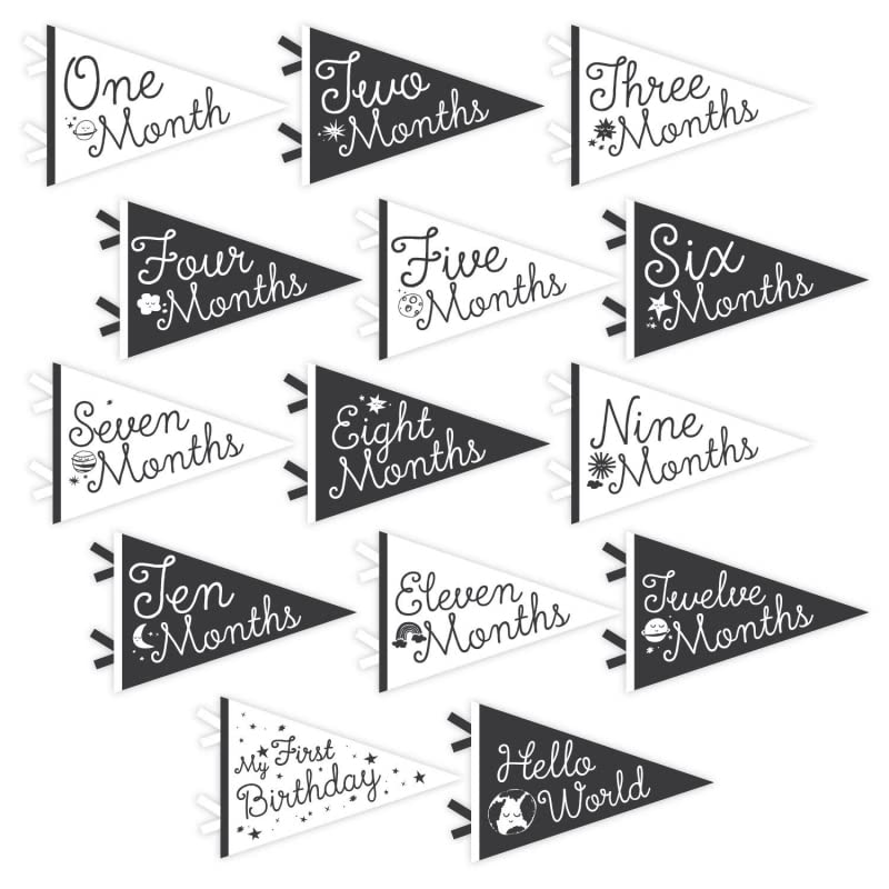 Lucy Darling Petit Milestone Pennants - Baby Monthly Milestone Pennant Flags - Newborn Photo Props & Felt Nursery Decor - Keepsa