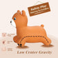 Inpany Teddy Bear Bouncy Horse Hopper Toys, Toddlers Bouncing Animal, Teddy Bear Baby Shower Decorations, Kid Ride On Rubber Bouncer, Outdoor Indoor Cute Birthday Gifts For 2 3 4 Year Old Girls Boys