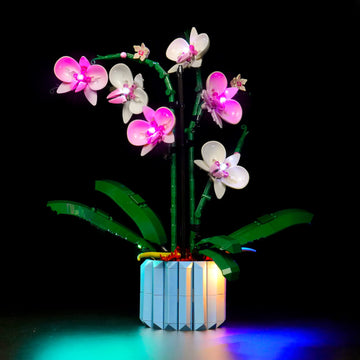 Brickbling Light Only, Compatible With Lego 10311 Orchid, Led Lighting Kit Compatible With Orchid 10311 (Lights Only, Not Come With Model) (Classic Version)