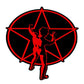 C&D Visionary Rush Starman Sticker, Multi Color